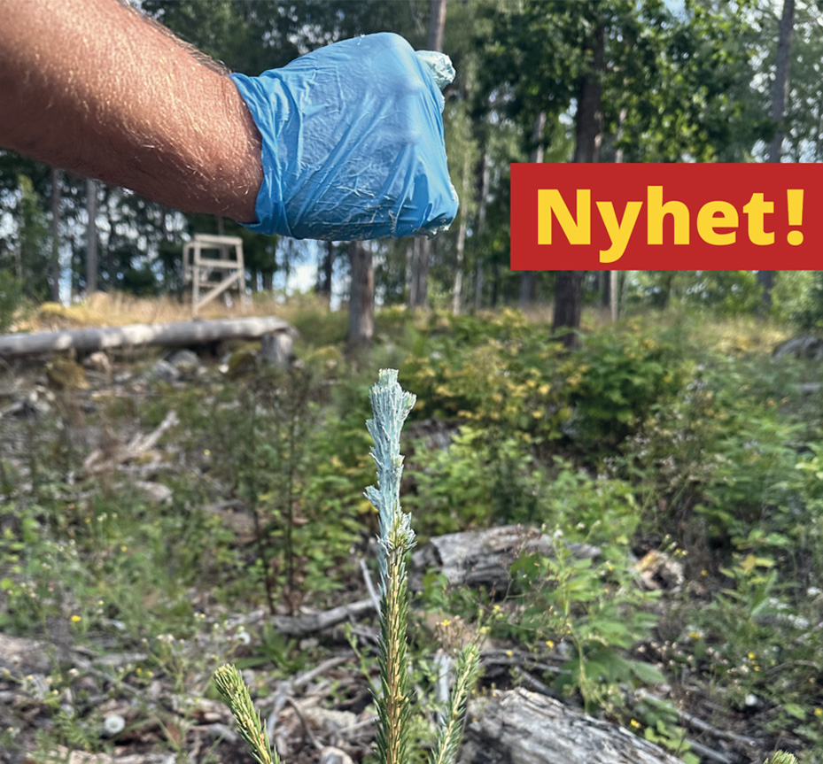 devita-pro-m-nyhet