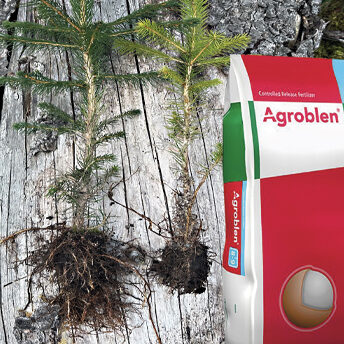 agroblen-web